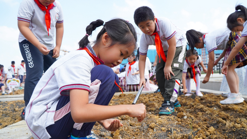 合肥市西递小学开学第一课：孩子们松土播种，寓意种下”希望的种子“。.jpg