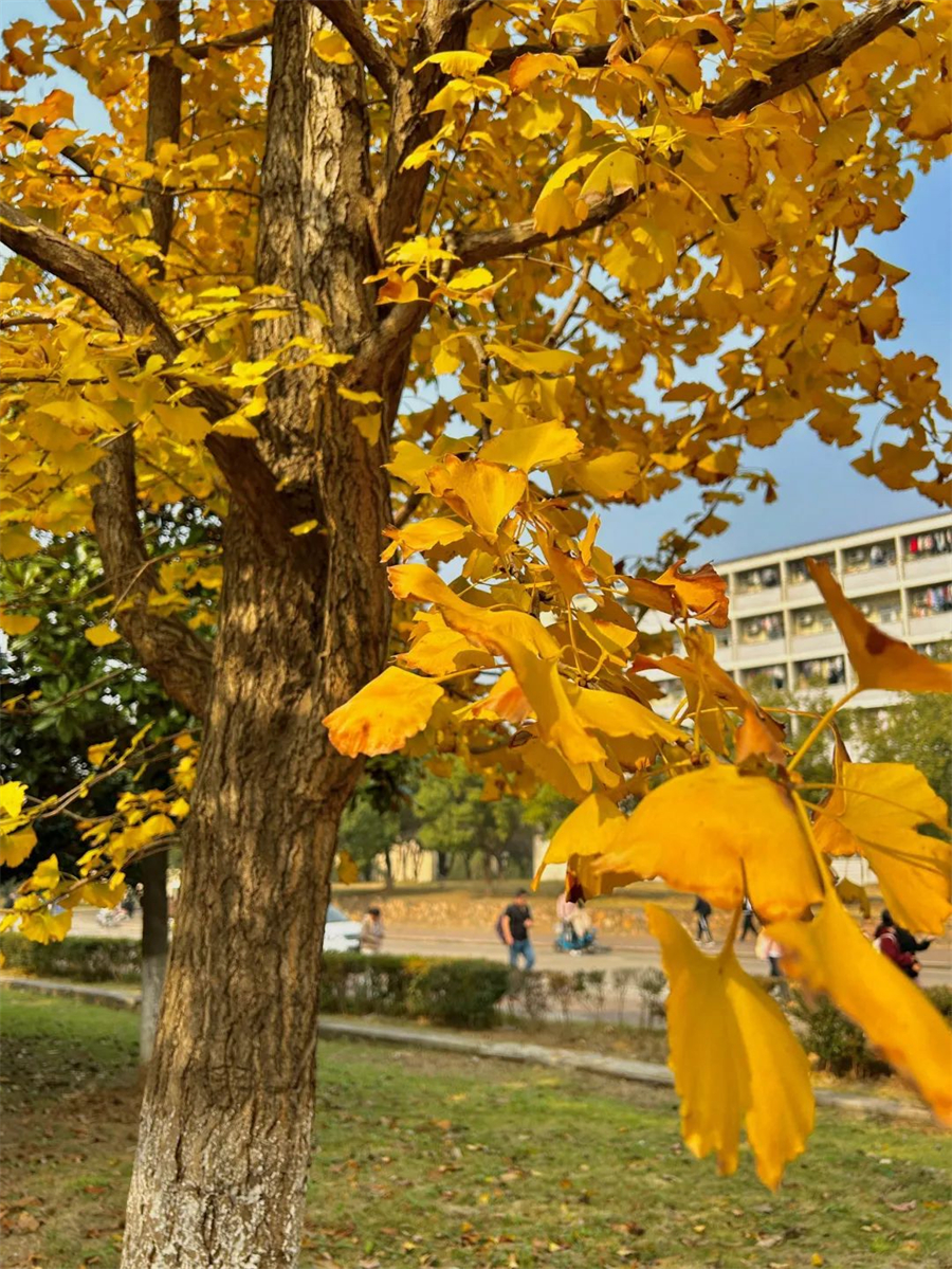 安徽工业大学.jpg