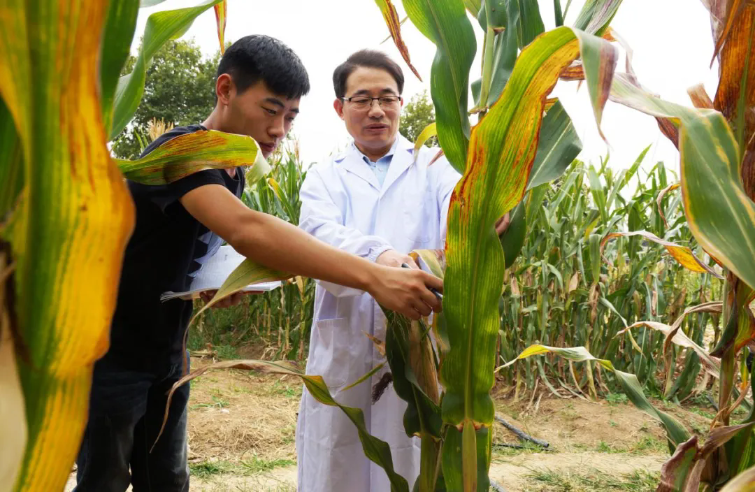 640_wx_fmt=png&from=appmsg&tp=webp&wxfrom=5&wx_lazy=1.webp (1).png 640_wx_fmt=png&from=appmsg&tp=webp&wxfrom=5&wx_lazy=1.webp (1).png