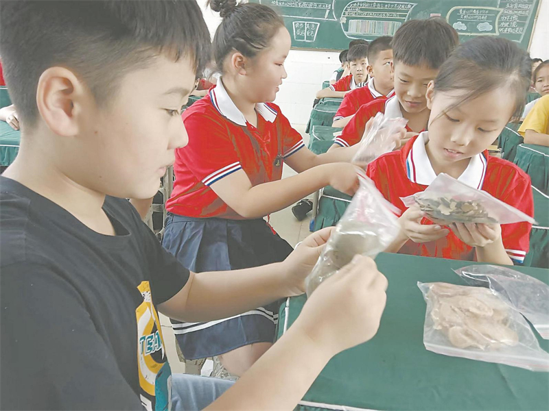 亳州市谯城区州东中心小学的同学们走进中医院,感受中医传统文化魅力。(资料图片)郭建民 摄.jpg 亳州市谯城区州东中心小学的同学们走进中医院,感受中医传统文化魅力。(资料图片)郭建民 摄.jpg