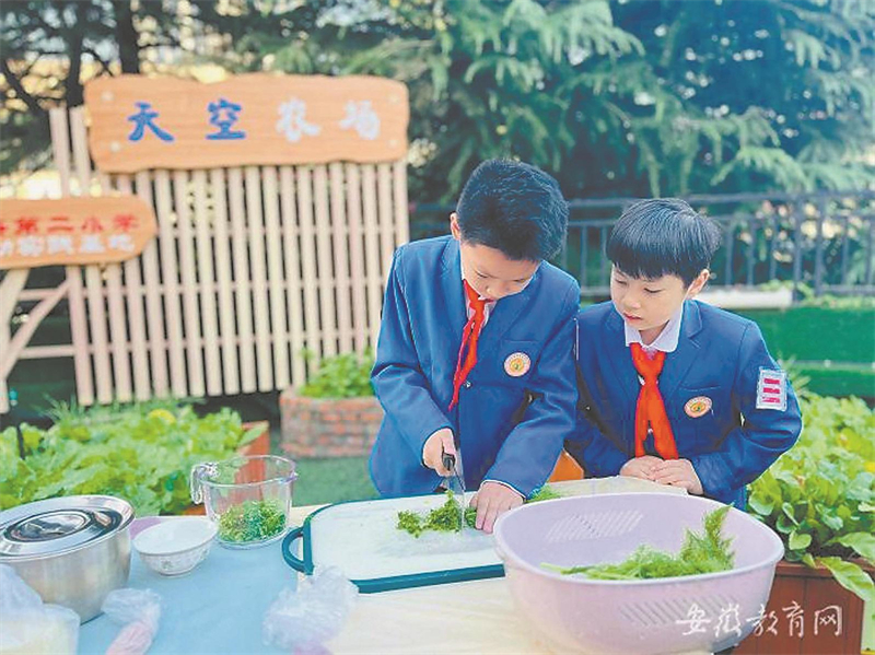 合肥市蚌埠路第二小学开展了“‘立冬’吃茴香 劳动润心灵”劳动实践活动。(资料图片).jpg 合肥市蚌埠路第二小学开展了“‘立冬’吃茴香 劳动润心灵”劳动实践活动。(资料图片).jpg
