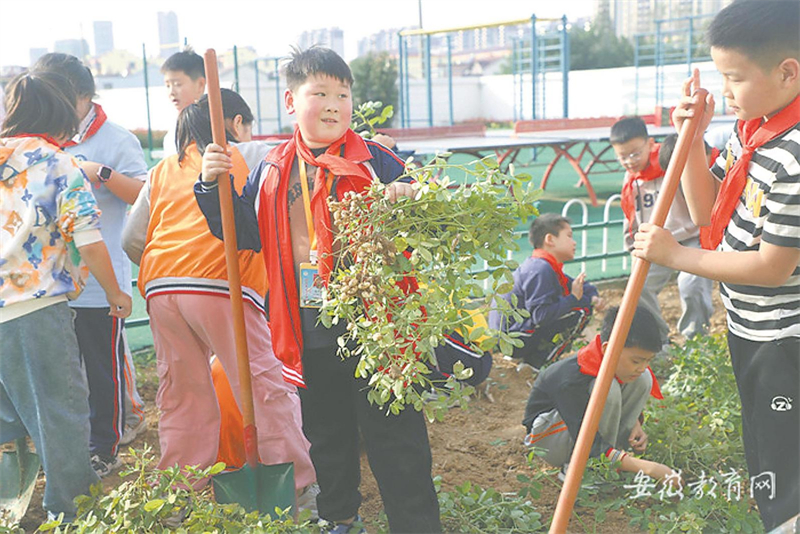 天长市农耕主题教育让劳动“走红”校园。(资料图片).jpg 天长市农耕主题教育让劳动“走红”校园。(资料图片).jpg